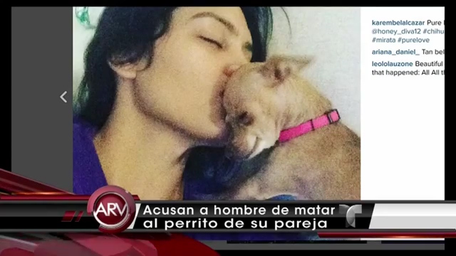 Hombre Mata A La Chihuahua De Su Novia Por Celos #Video