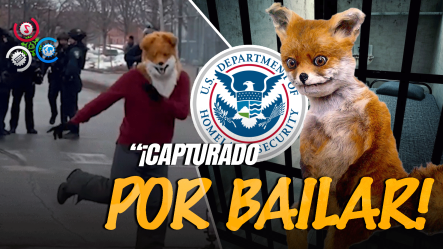Agentes De La ICE Capturan A Un Zorro Bailarín Que Protestaba En Manifestación De Minnesota