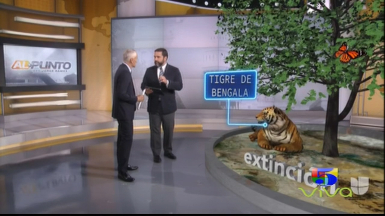 ¡ALERTA! 1 Millón De Animales Y Plantas Están En Peligro De Extinción