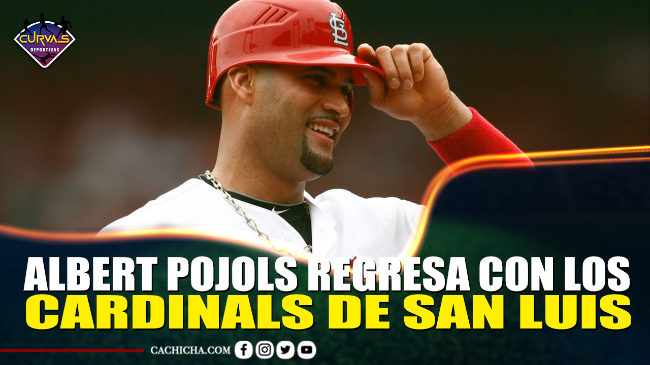 Albert Pojols Regresa Con Los Cardinals De San Luis – Curvas Deportivas By Cachicha