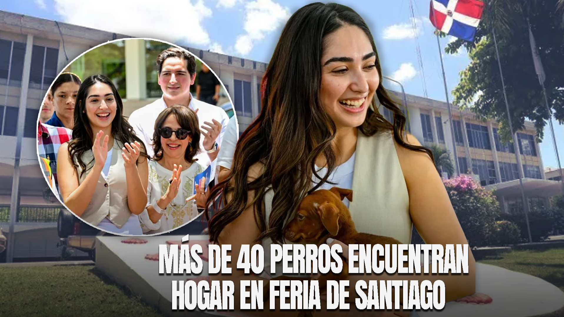 Alcaldía De Santiago Realiza Exitosa Feria De Adopción De Perros