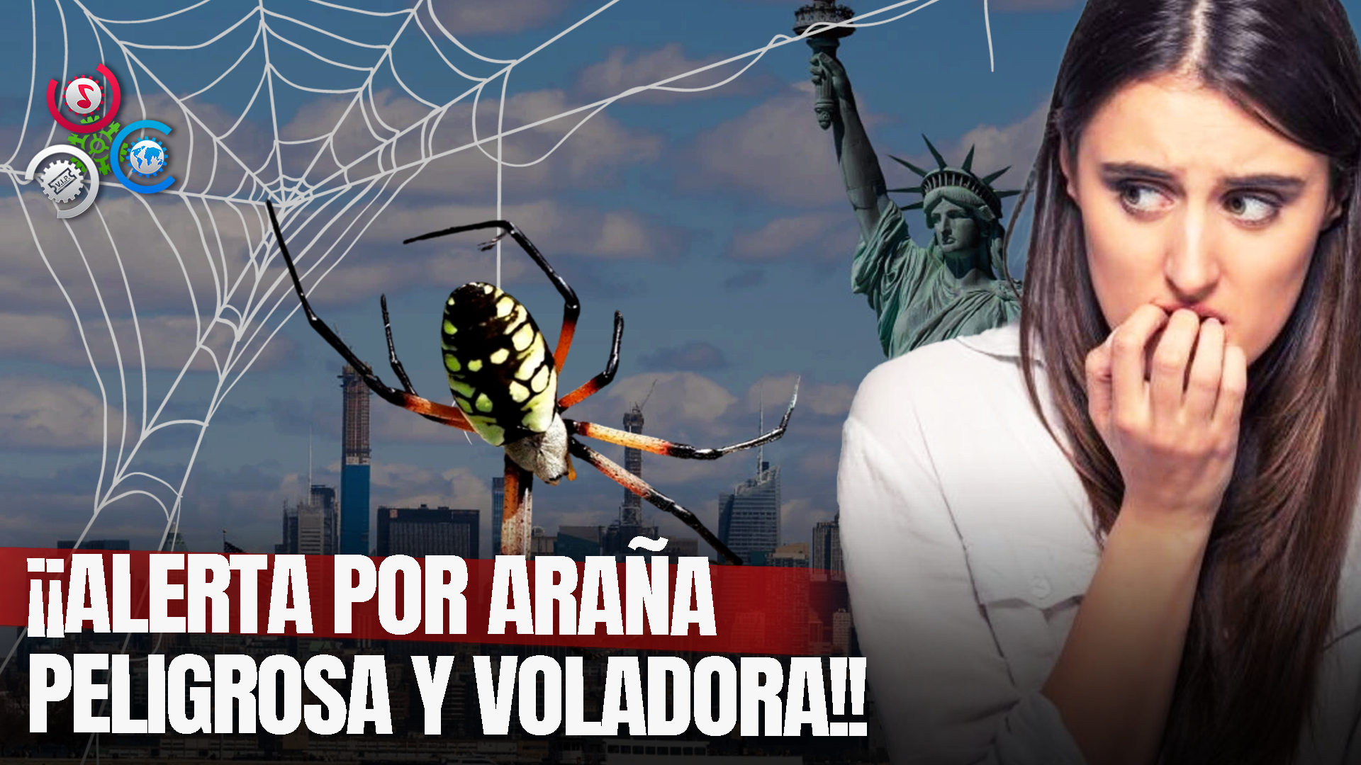 ¡¡Alerta En Nueva York Y Nueva Jersey!! Por Aparición Inminente De Araña De Tamaño Gigantesco