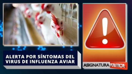 Alerta Por Síntomas Sospechosos Del Virus De Influenza Aviar  | Asignatura Política