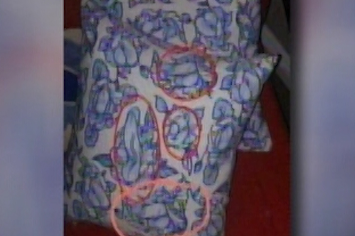 Pasó Años Creyendo Que La Decoración De Sus Almohadas Eran Flores