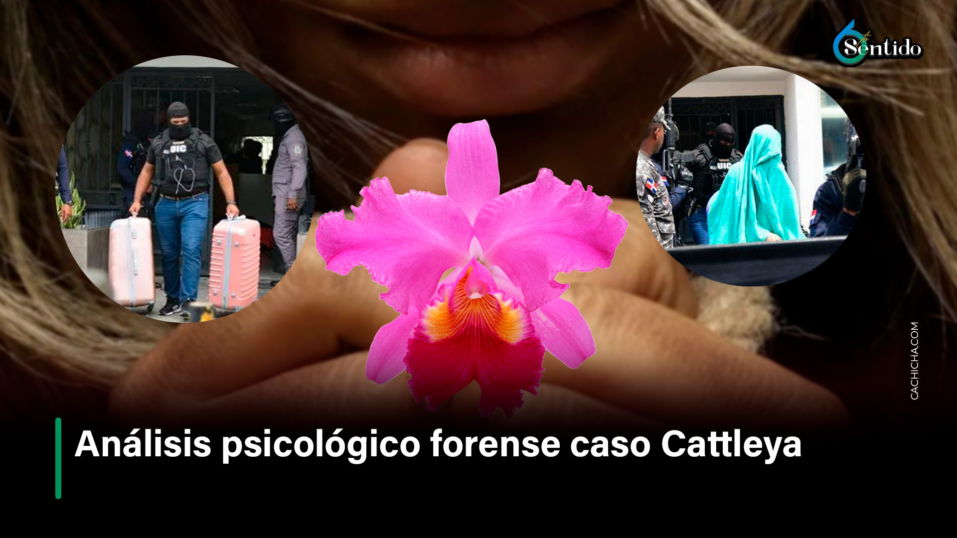 Análisis Psicológico Forense Caso Cattleya