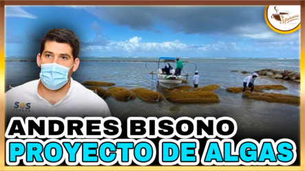 Andrés Bisono – Proyecto De Algas | Tu Mañana By Cachicha