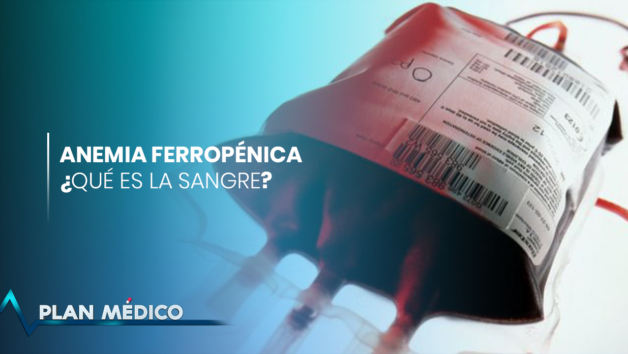 Anemia Ferropénica ¿Cómo Afecta La Deficiencia De Hierro? | Plan Médico (1/2)