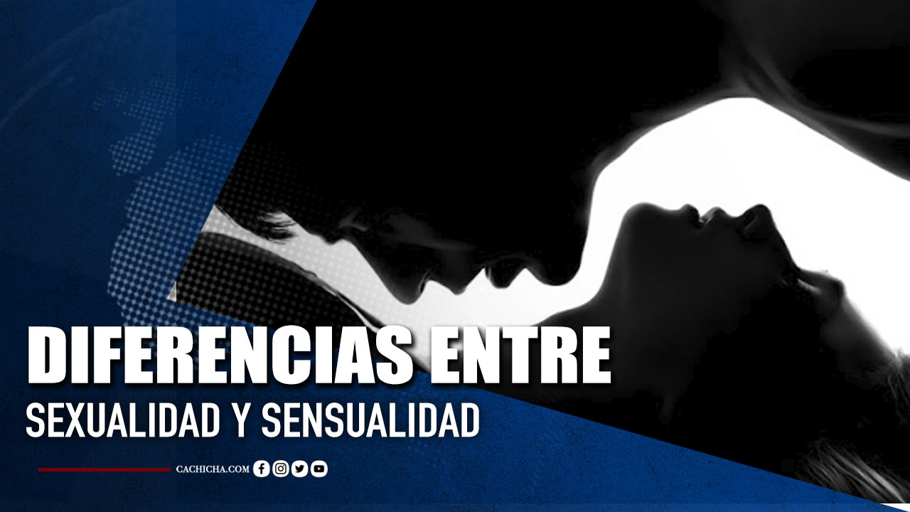 Sexóloga Habla Sobre Las Diferencias Entre Sexualidad Y Sensualidad  | Tu Tarde