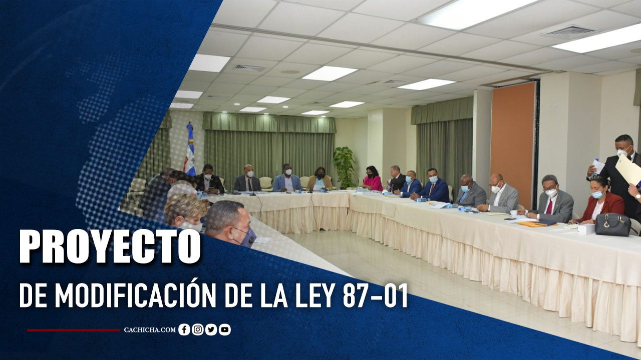 Presidente De Comisión Bicameral Habla Sobre El Proyecto De Modificación De La Ley 87-01  | Tu Tarde
