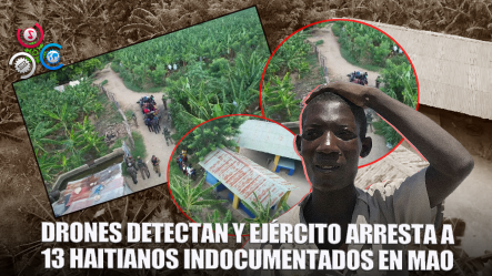 Arrestan A Inmigrantes Indocumentados Que Se Esconden En Las Plantaciones De Mao
