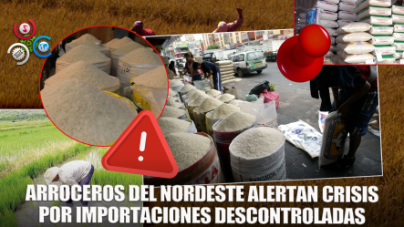 Arroceros Denuncian Afectación Por Mala Planificación En Importación De Arroz