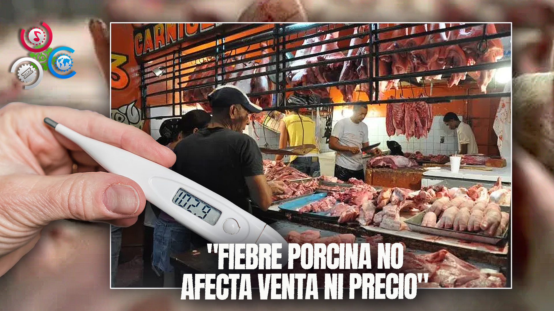 Aseguran Brote De Fiebre Porcina No Ha Afectado Venta Ni Precio De La Carne