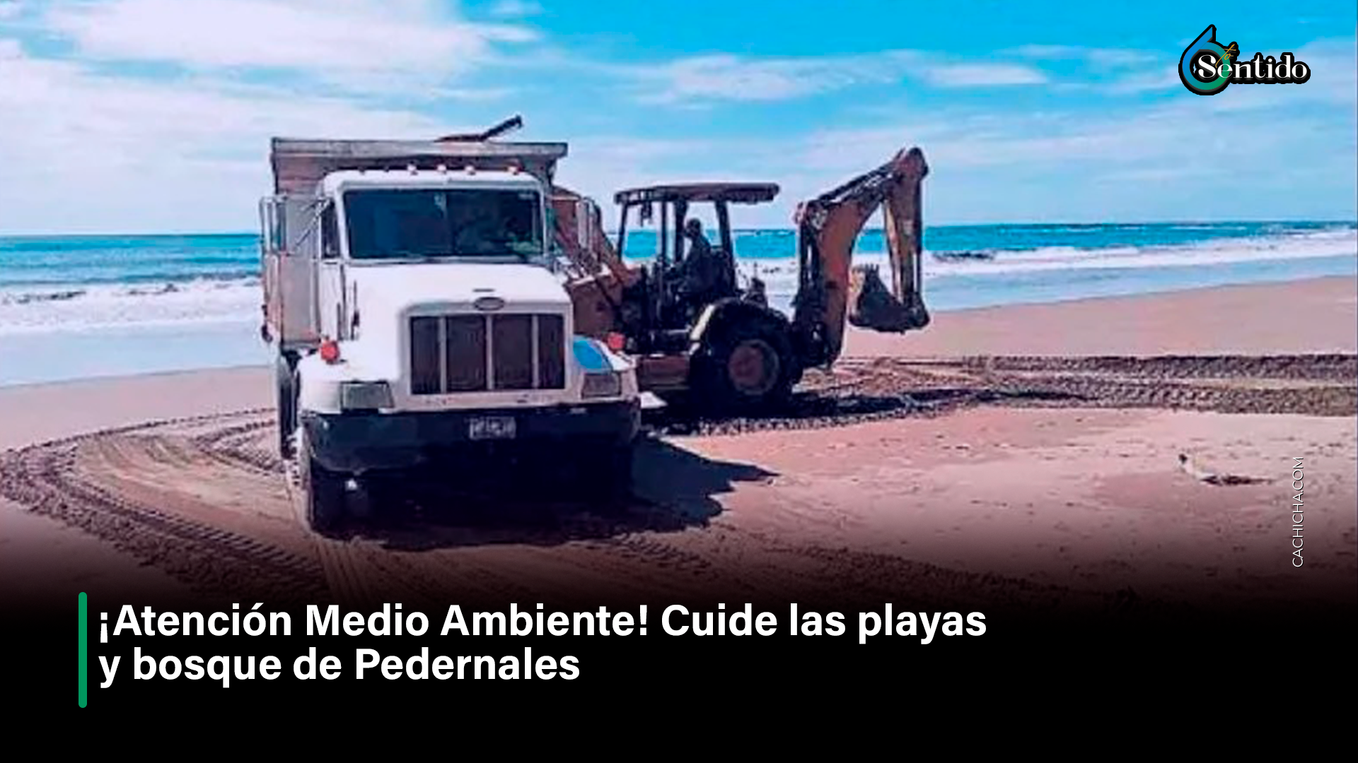 ¡Atención Medio Ambiente! Cuide Las Playas Y Bosque De Pedernales  – 6to Sentido By Cachicha