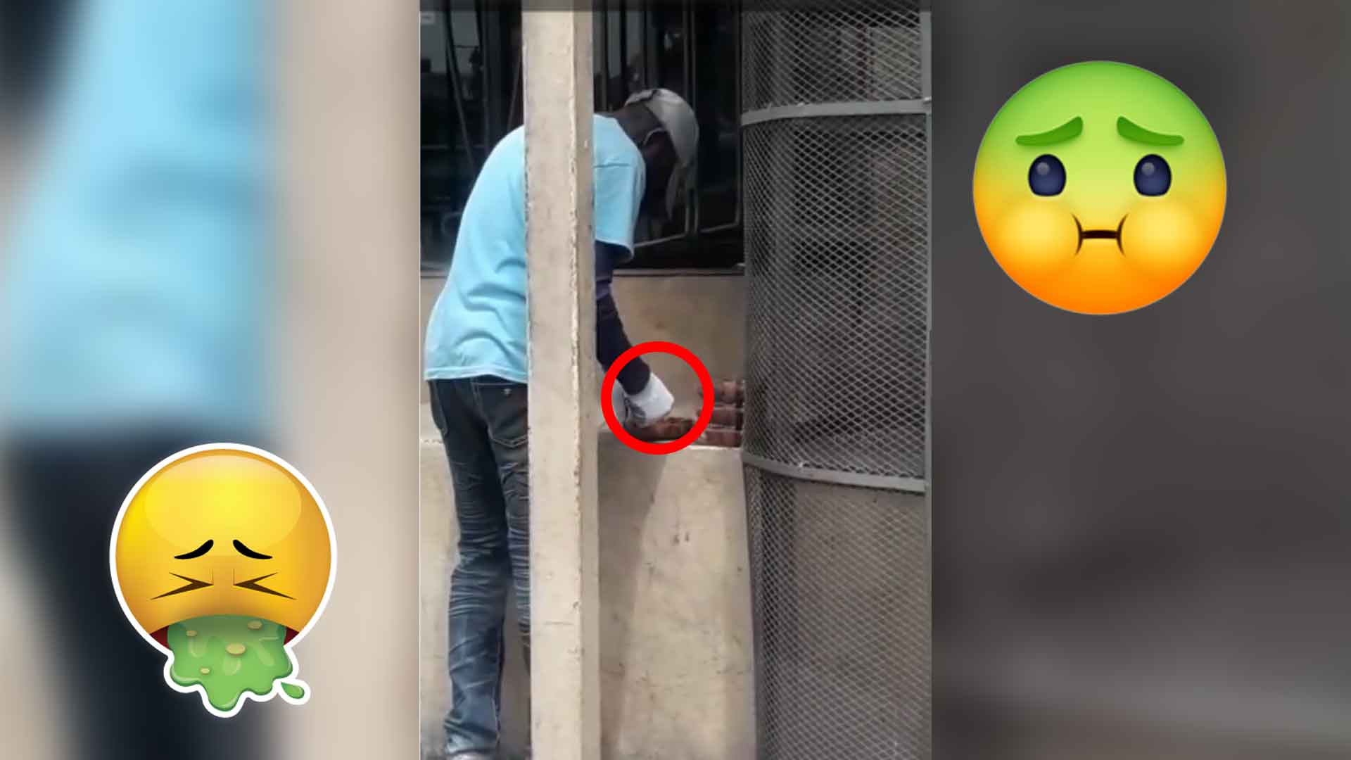 Atención A Los Compra Frutas, Esto Es Increíble