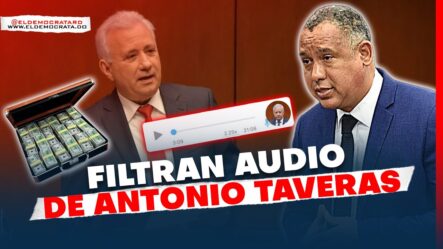Filtran Audio Del Senador Antonio Taveras | 250 Millones Para La Senaduría