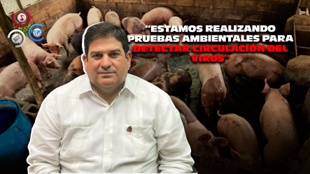 Autoridades Agropecuarias Reportan Reducción En Incidencia De Peste Porcina