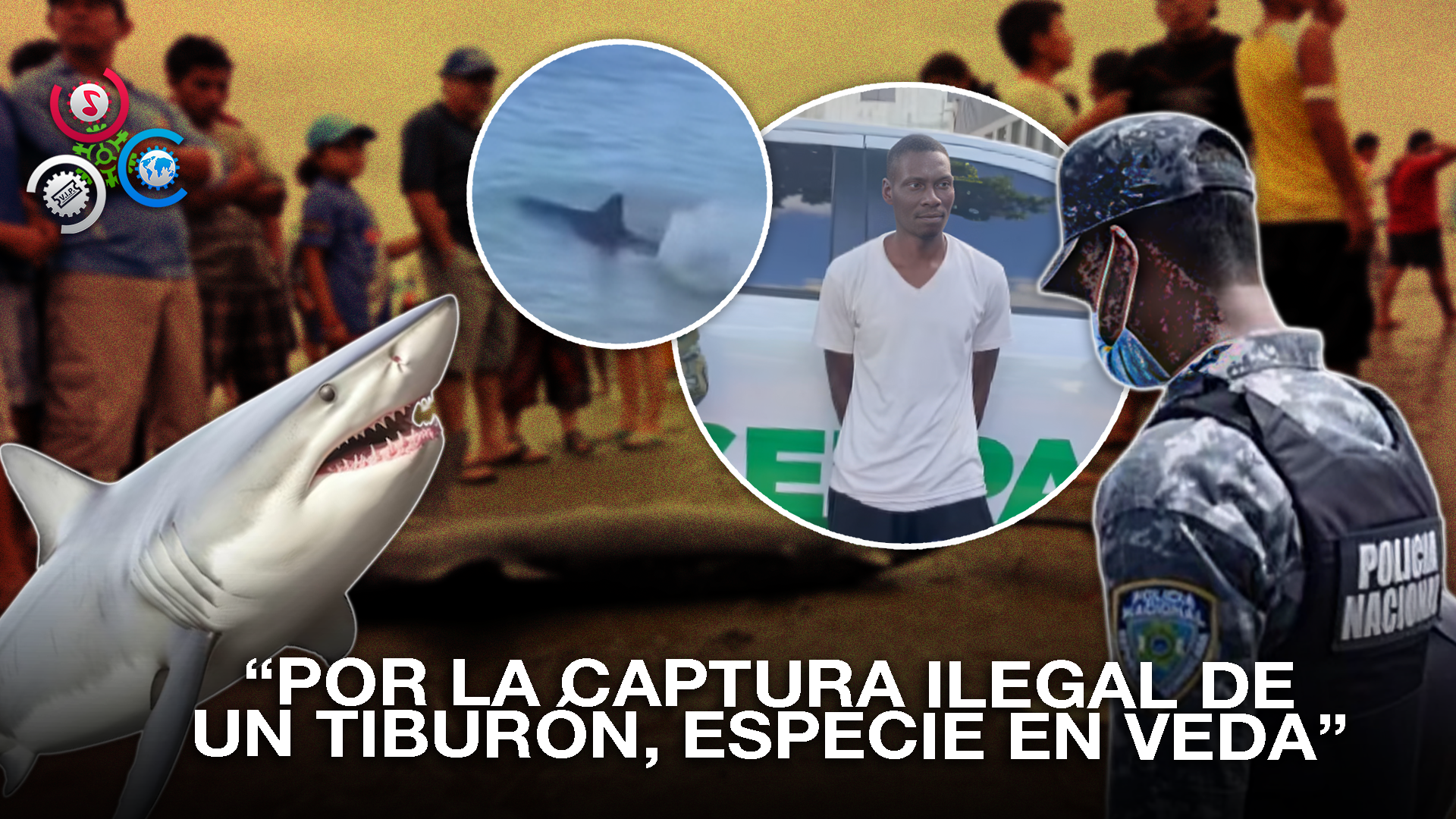 Autoridades Apresan A Individuo Por Pesca Ilegal De Tiburón En Guayacanes