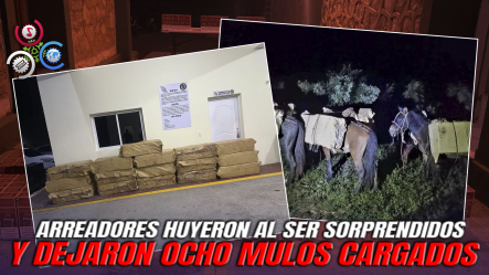 Autoridades Ocupan 320 Mil Cigarrillos De Contrabando En Zona Montañosa De Elías Piña