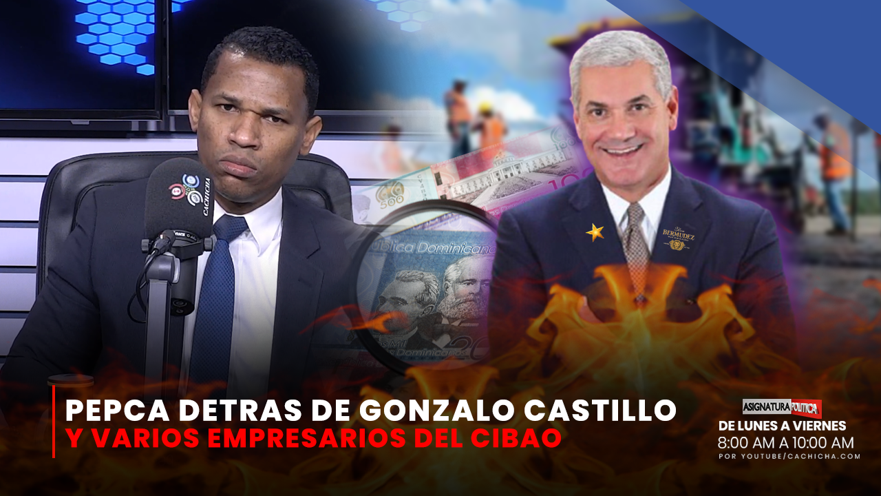 Pepca Detrás De Gonzalo Castillo Y Varios Empresarios Del Cibao | Asignatura Política