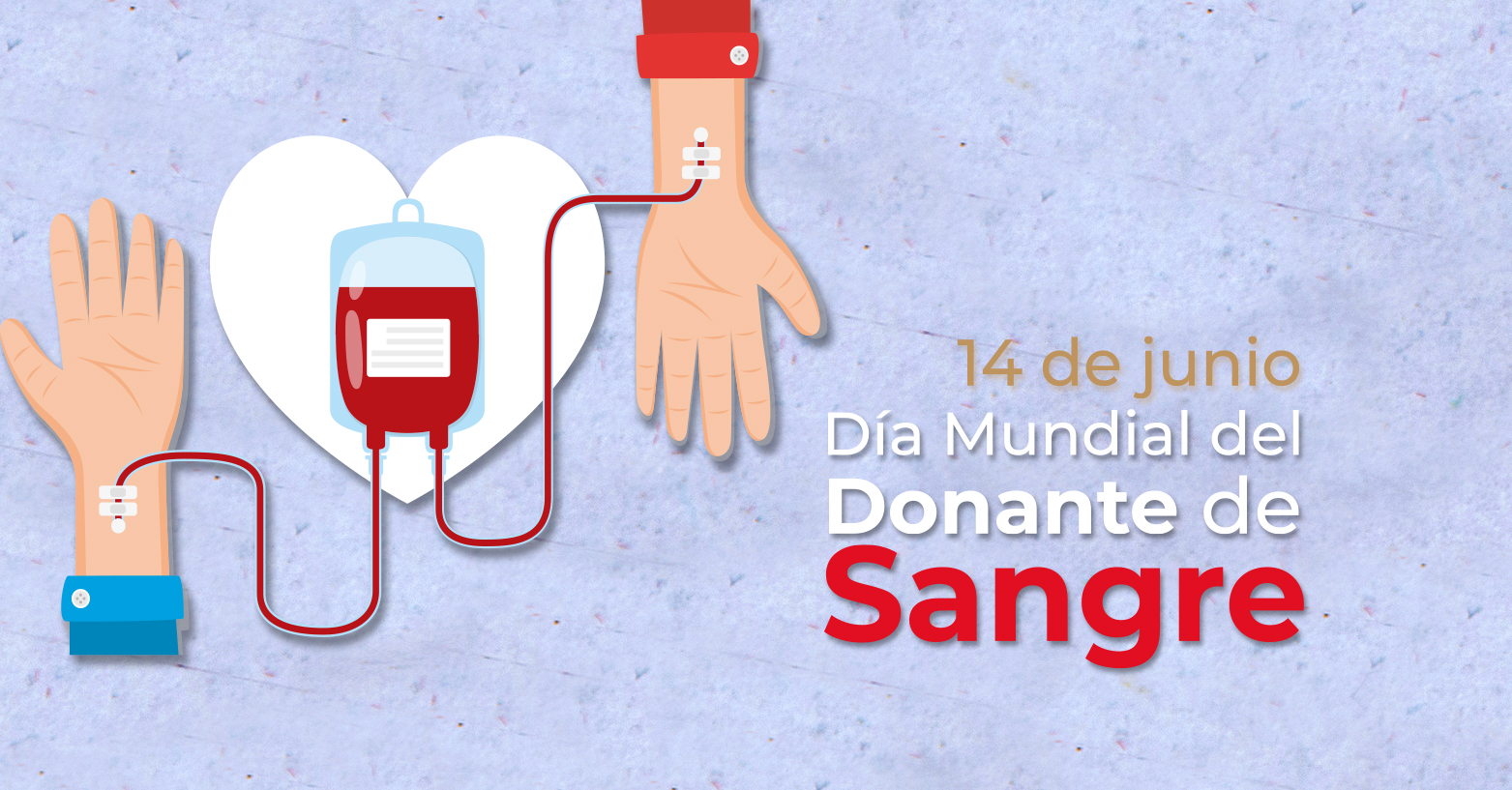 Fundación Laso En El Día Mundial Del Donante De Sangre