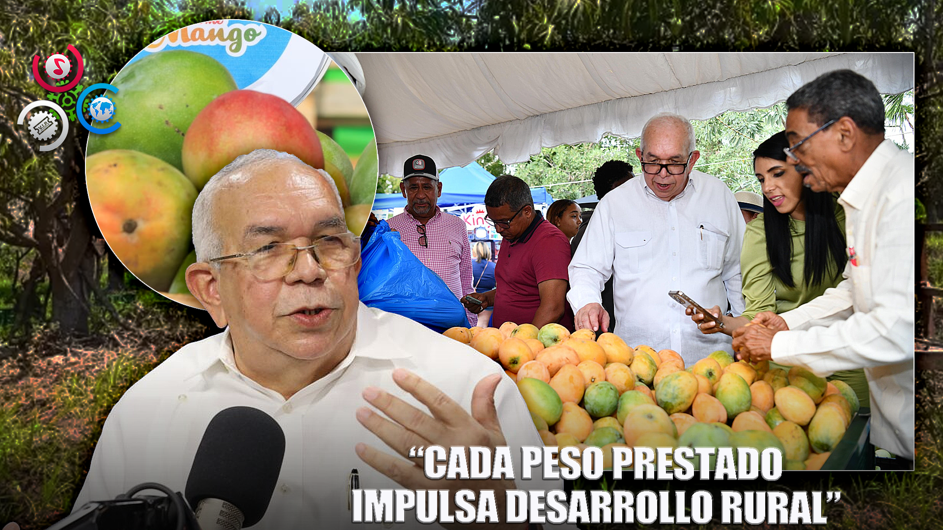 Bagrícola Aporta RD$602.3 Millones A Producción De Mangos