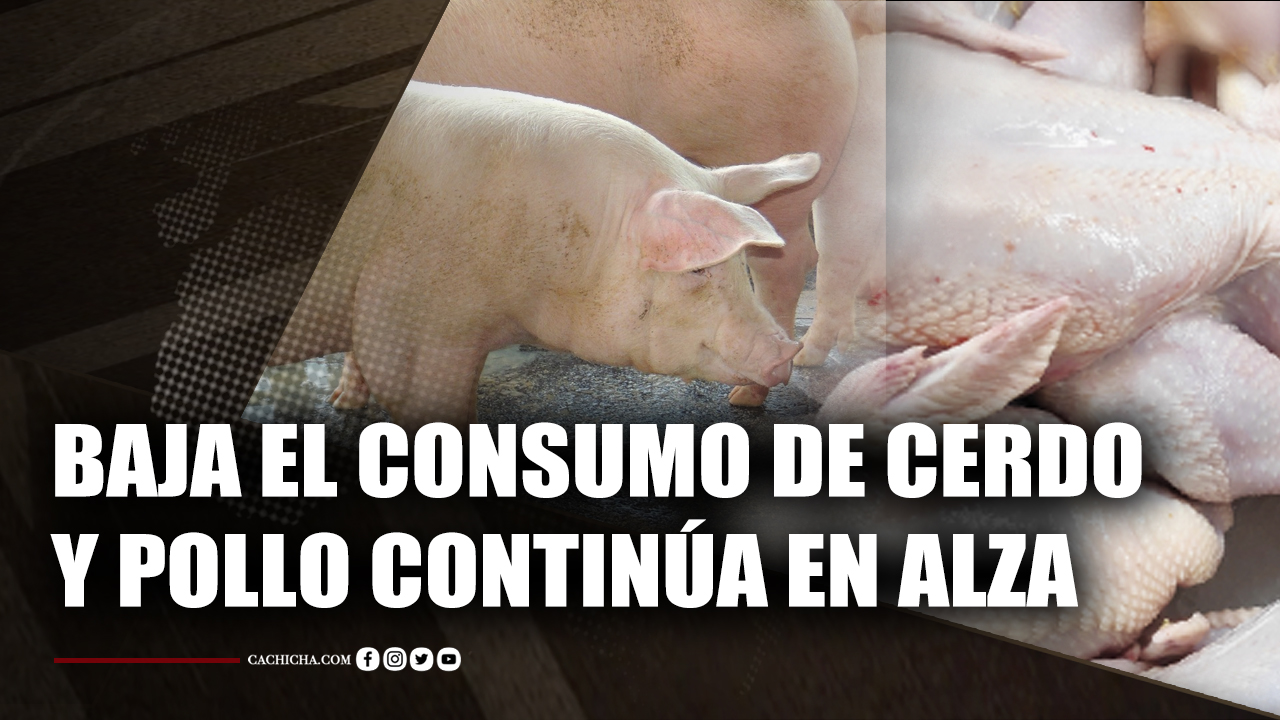 EN VIVO: Tu Mañana By Cachicha |10 Agosto| #TuMañana