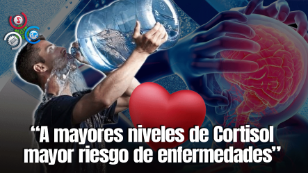 Beber Poca Agua Aumenta Los Niveles De Estrés, Revela Estudio