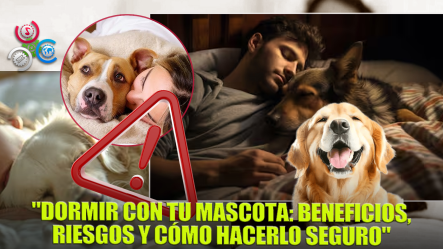 “Beneficios Y Precauciones De Dormir Con Tu Mascota: No Es Para Todos”