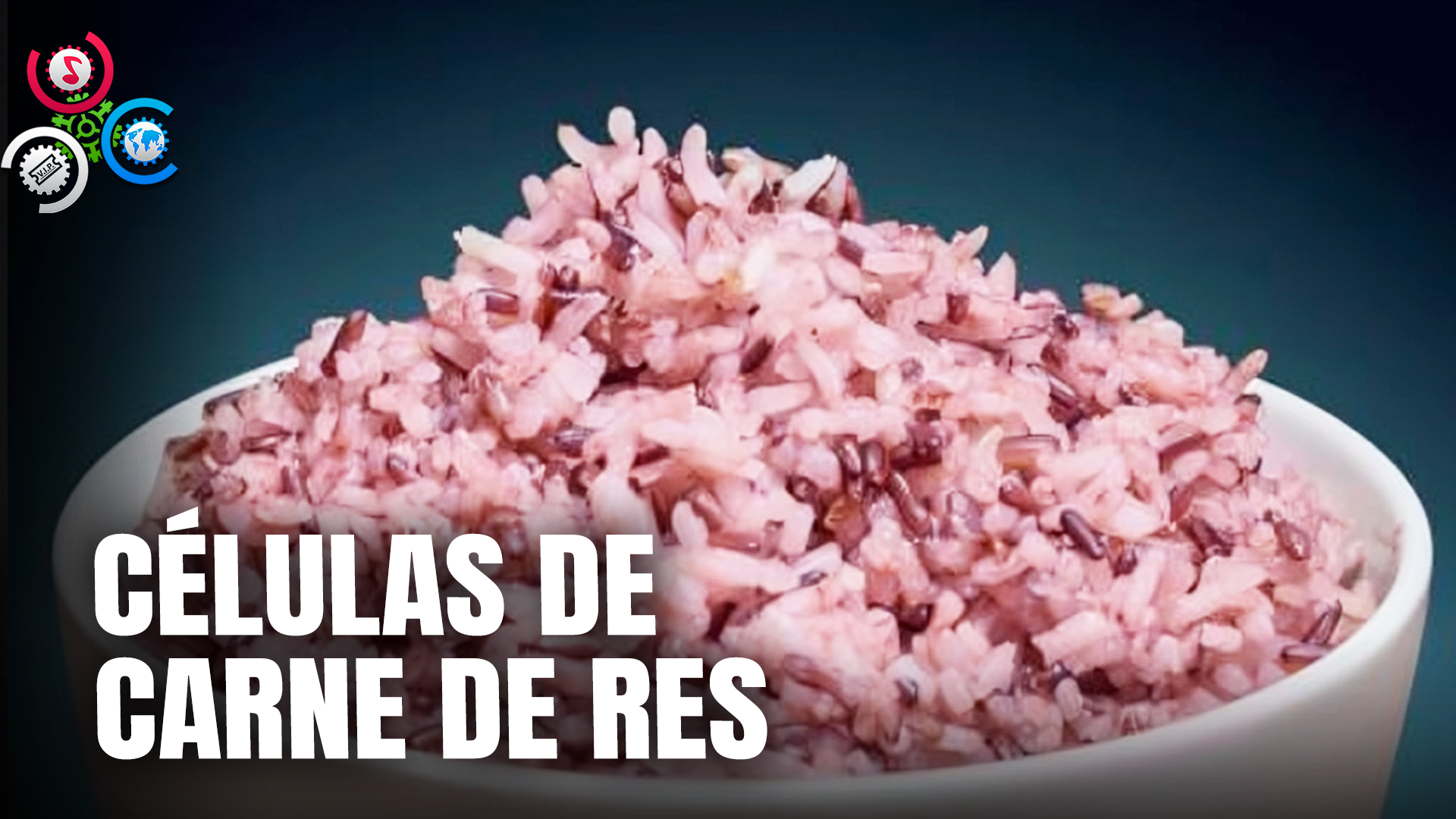Células De Carne De Res Son Cultivadas En Granos De Arroz
