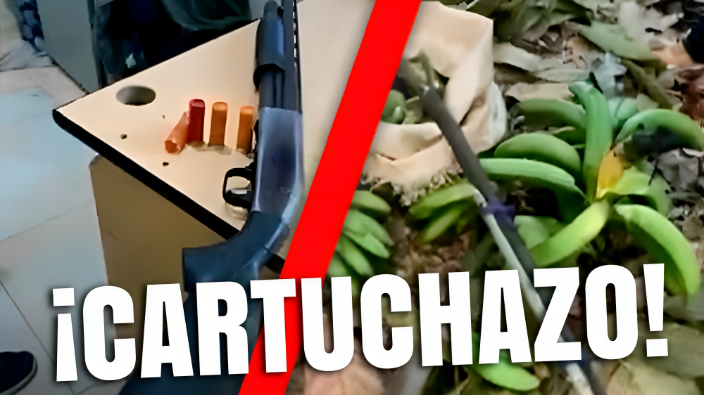 Hombre Propina ‘CARTUCHAZO’ A Otro Por ROBAR Plátanos En Una Finca