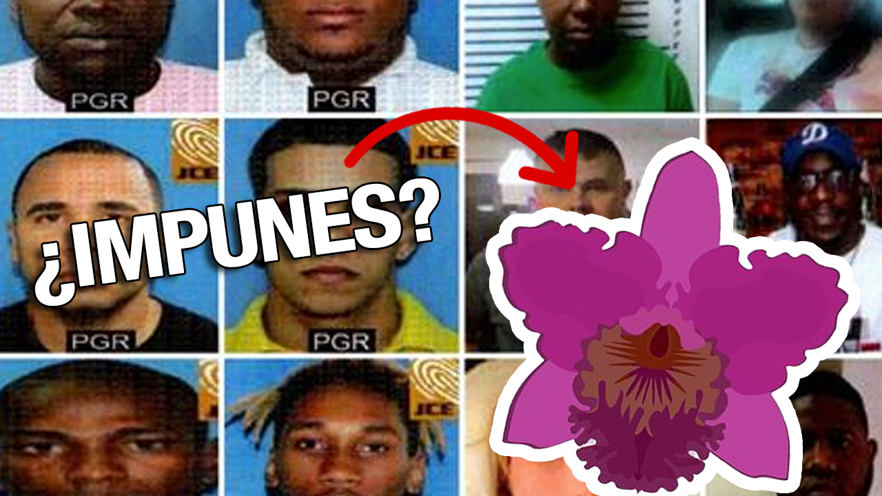 Implicados En Red De Prostitución Cattleya Podría Quedar Impunes ¡Entérate Por Qué!