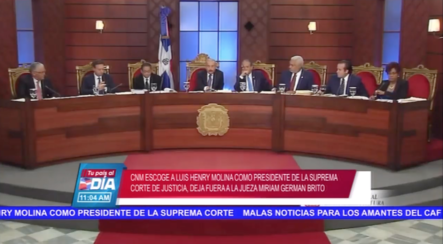 CNM Escoge A Luis Henry Molina Como Presidente De La Suprema Corte De Justicia Y Deja Fuera A La Jueza Miriam Germán Brito