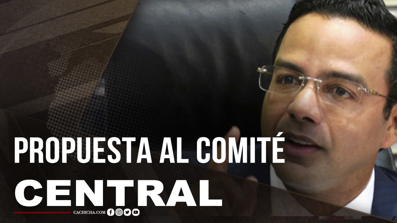La Propuesta De Marius De León Para El Comité Central Del PLD
