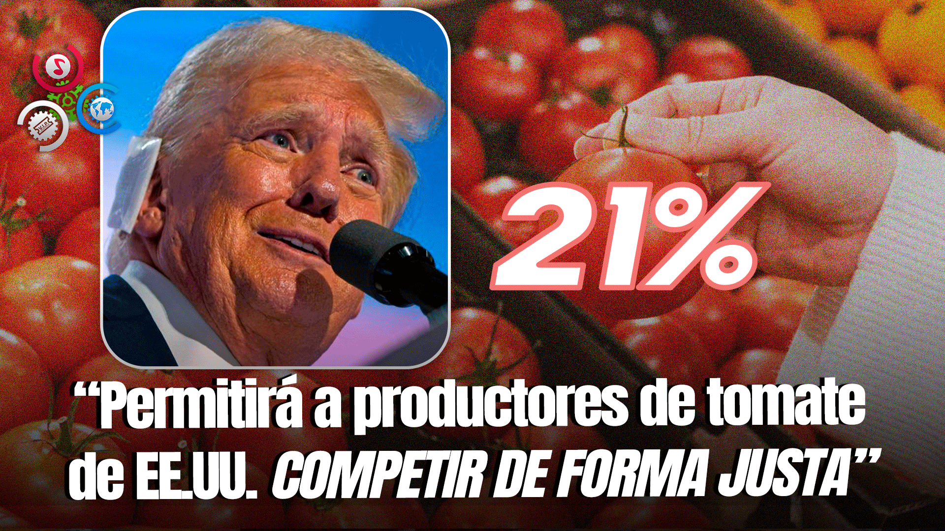 Estados Unidos Anuncia Aranceles Para Las Importaciones De Tomates Mexicanos
