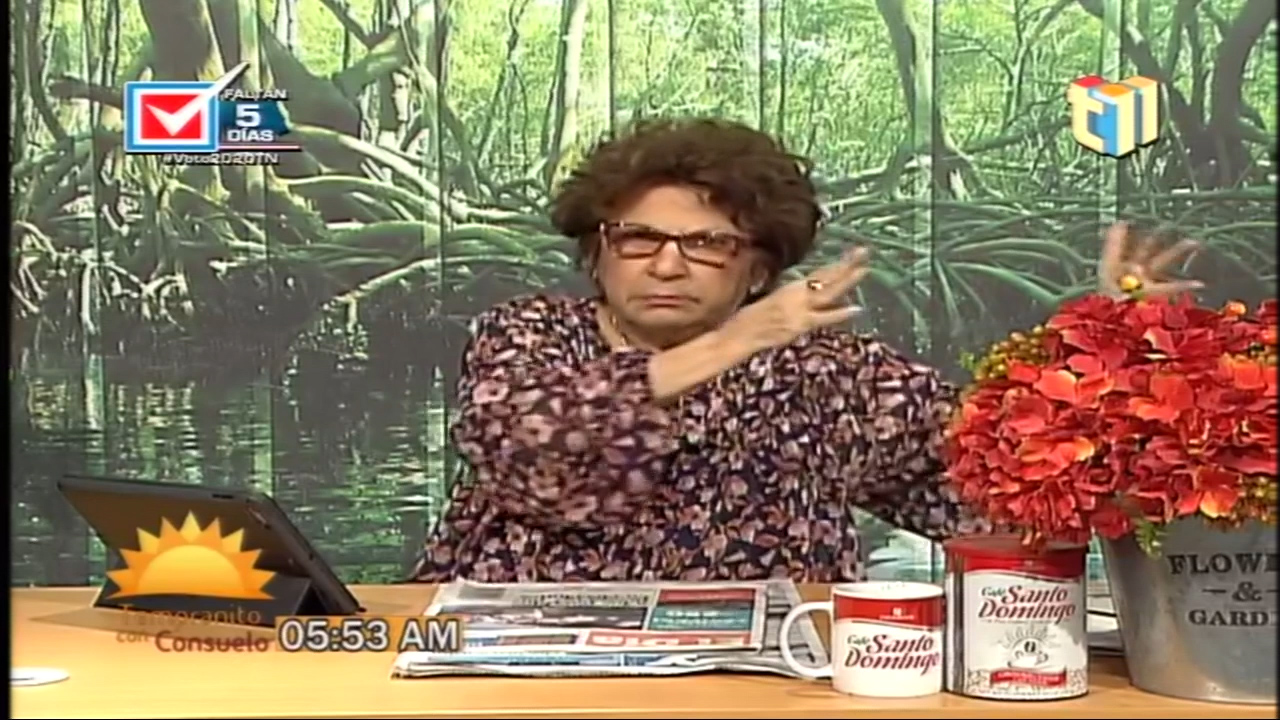 ¡AHÍ VAN ARMAR UN REBÚ! Consuelo Despradel Dice Partido Político Armará Un Rebú El Día De Las Elecciones Los Partidos Que Pierdan