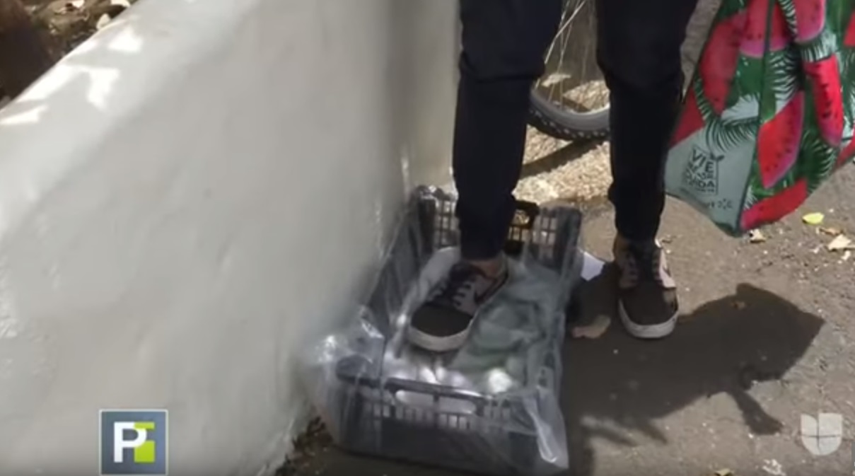 “De Vida O Muerte”: Las Estrictas Medidas De Una Familia Con 37 Hijos Para Evitar El Coronavirus