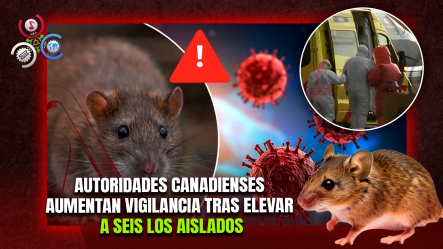 Canadá Elevó A Seis Las Personas Aisladas Por Riesgo De Hantavirus Tras Vuelos Con Infectados