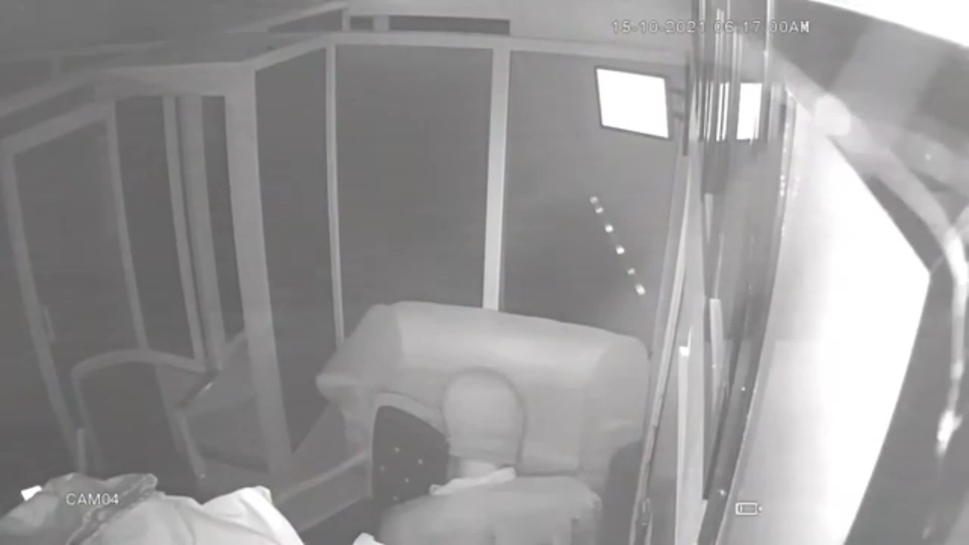 Captan Momento En Que Dos Desconocidos Penetraron La Plaza Gómez Y Asociados En Veragua, Gaspar Hernández