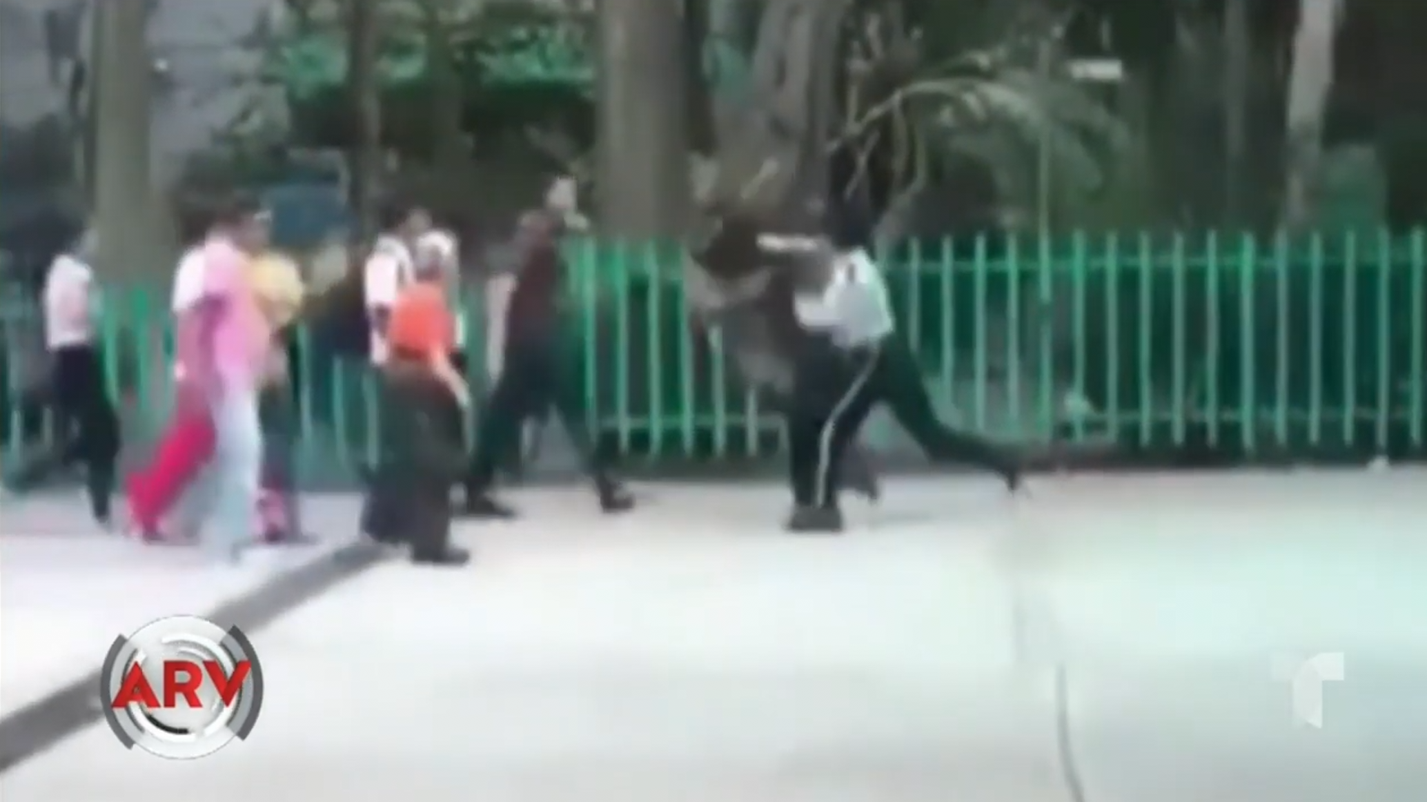Mujer Le Cae A Correazos A Vigilante De Una Escuela En México