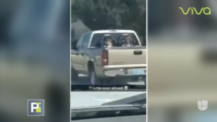 ¡Increíble! Mira Como Este Conductor Transporta Como Muebles A Sus Dos Hijos En Una Camioneta