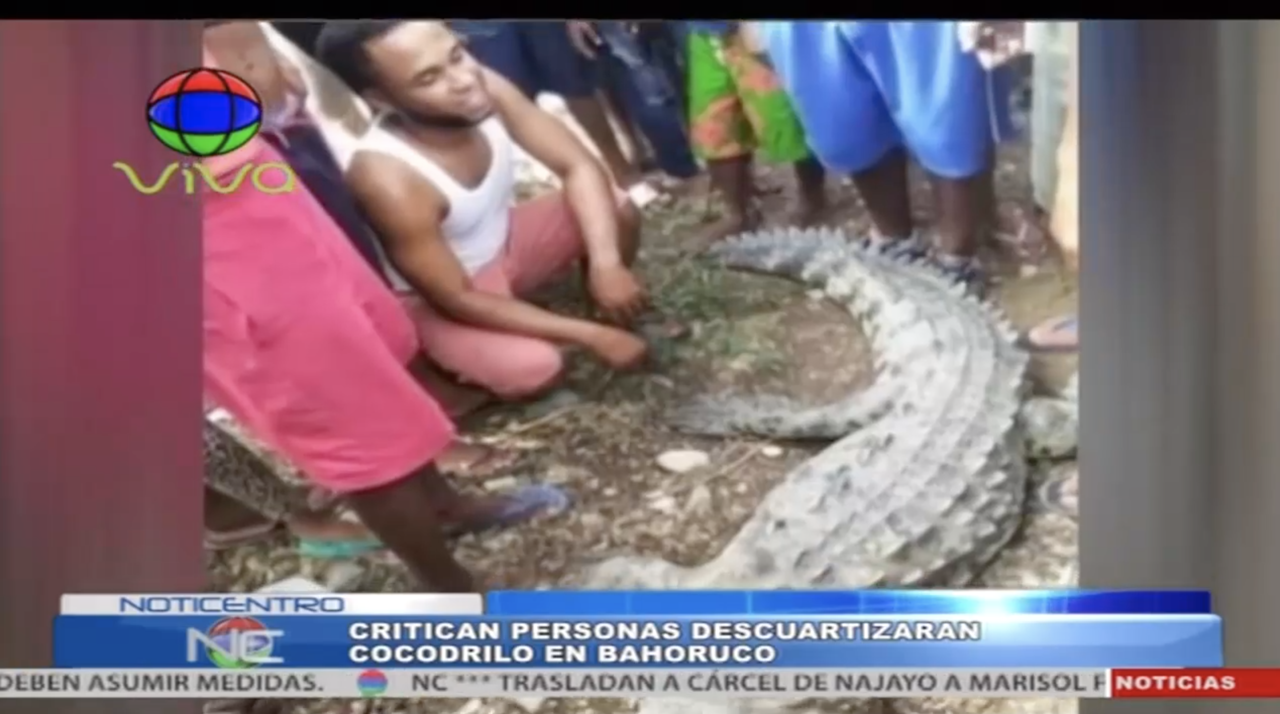 Critican A Personas Que Se Comieron Un Cocodrilo En Bahoruco