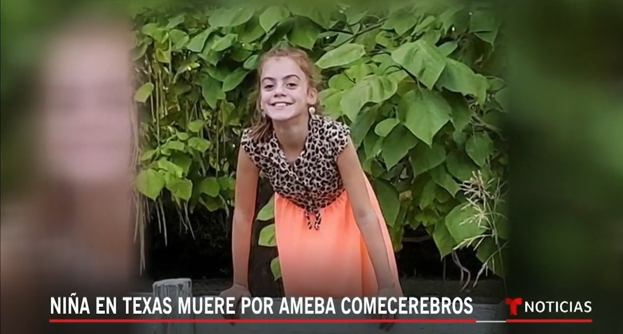 La Peligrosa Ameba Come Cerebros Le Quitó La Vida A Una Niña De Diez Años Luego De Nadar En Un Río De Texas