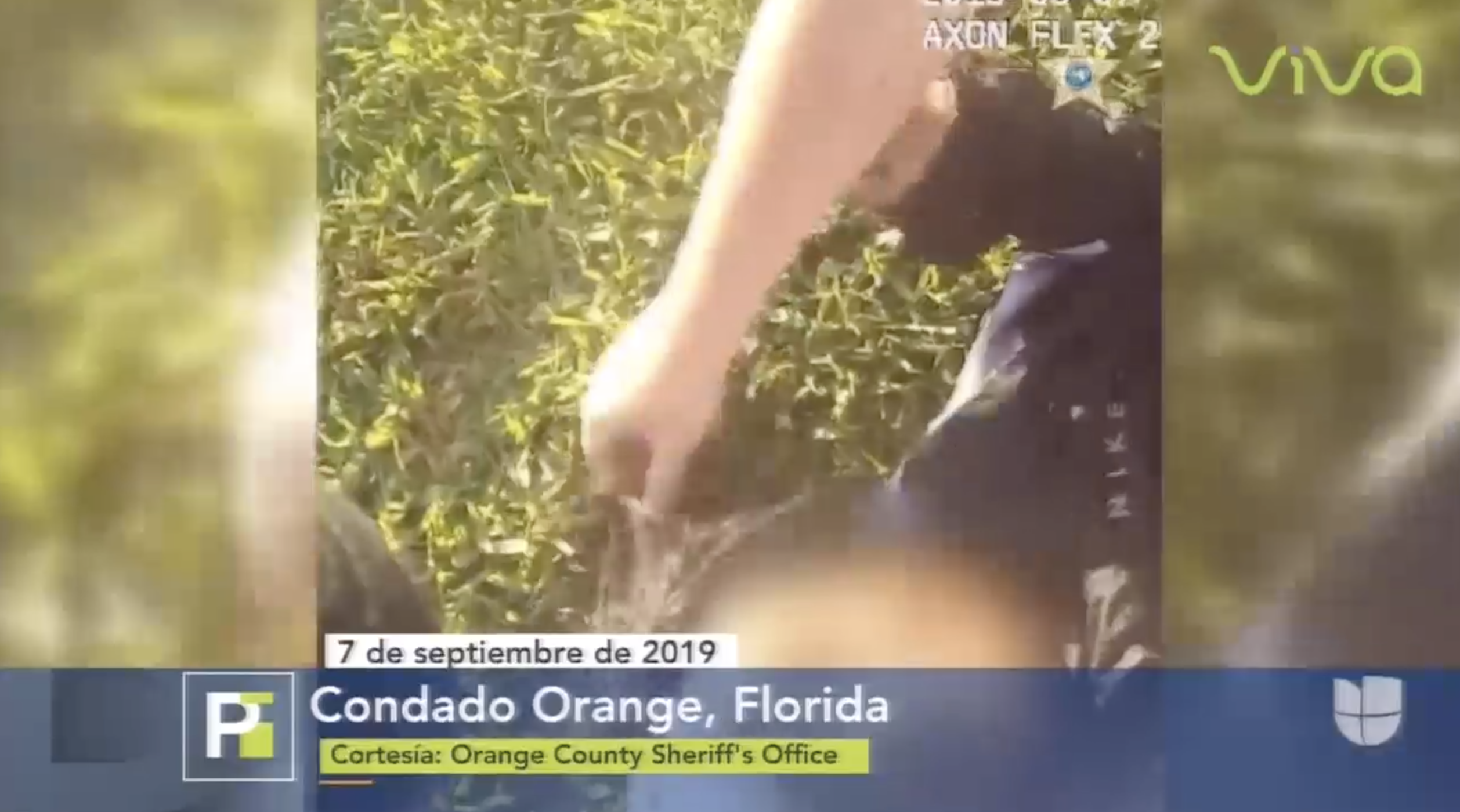 Señora Con Problemas Mentales Buscaba Quitarse La Vida Lanzándose A Un Lago