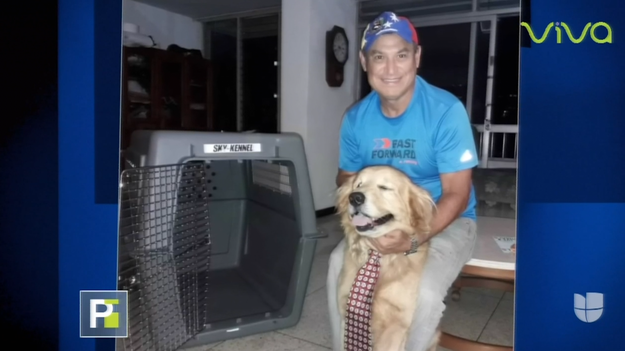 Una Familia Exige Una Explicación Tras La Muerte De Su Perro A Bordo De Un Avión