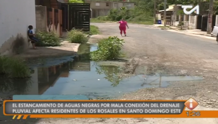 Estancamiento De Aguas Negras Afecta A Residentes De Un Sector De Santo Domingo Este
