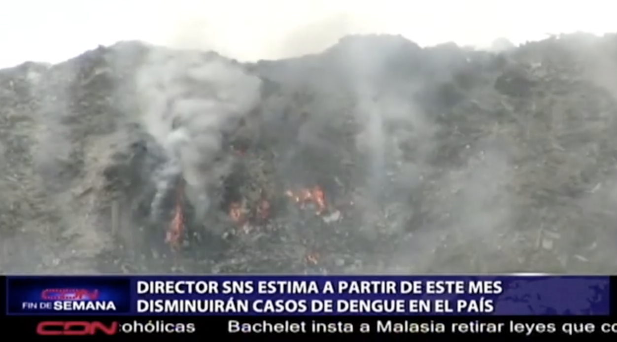 Director SNS Estima A Partir De Este Mes Disminuirán Casos De Dengue En El Pais
