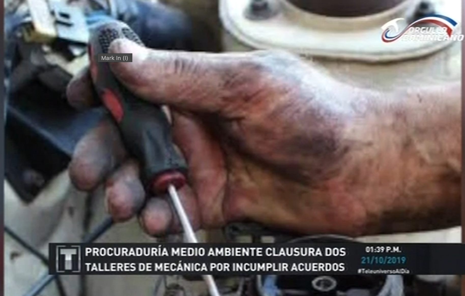 Procuraduría De Medio Ambiente Clausura Dos Talleres Por Incumplir Acuerdos