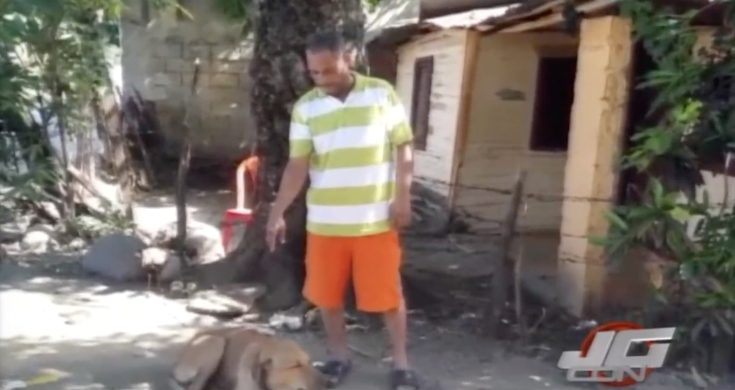 Perro Impide Que Ladrones Entren A Una Casa Y Estos Le Disparan, Y El Perro Queda…