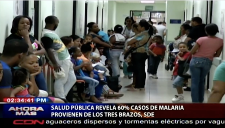 Salud Pública Revela 60% Casos De Malaria Provienen De Los Tres Brazos, SDE