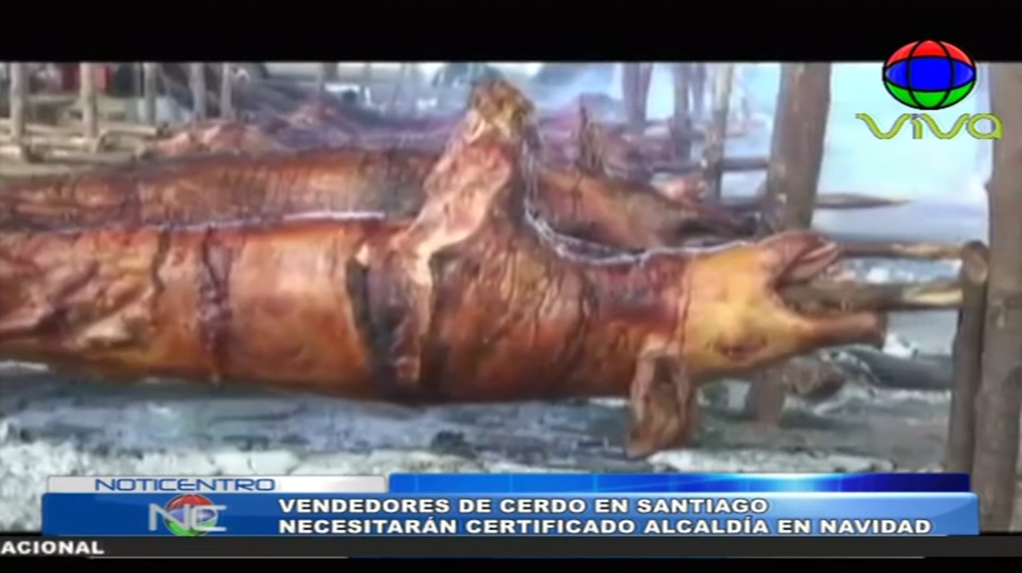 Vendedores De Cerdo En Santiago Necesitaran Certificado De La Alcaldía En Navidad